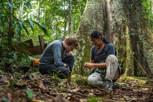 Michael Otto Foundation for Sustainability