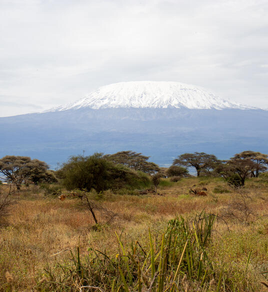 Unganisha: Preserving the Amboseli landscape 