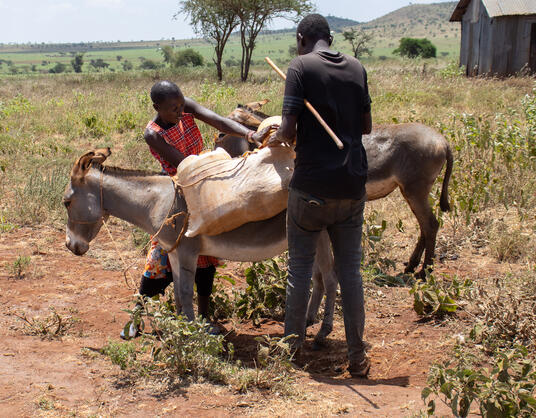 Unganisha: Preserving the Amboseli landscape 